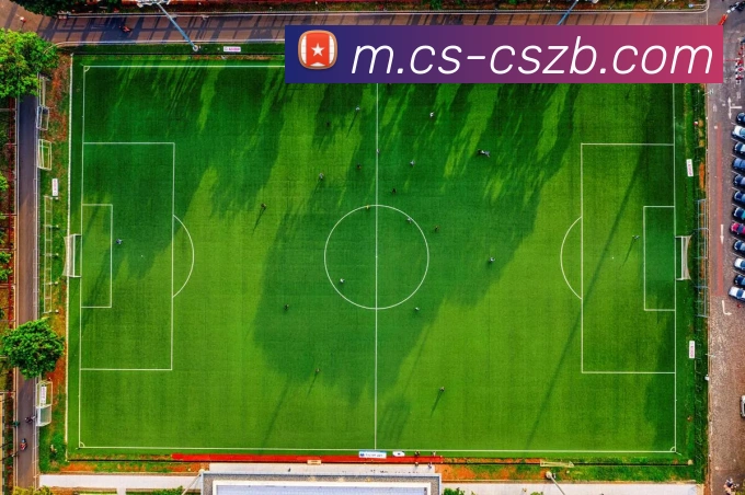 彩神争霸平台生态图